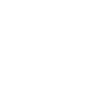 PROJEXELS